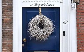 De Slapende Leeuw